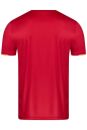 VICTOR T-Shirt T-23101D red